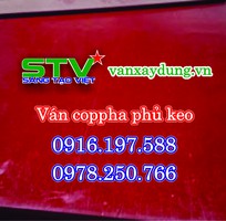 1 Chuyên cung cấp ván coppha xây dựng phủ phim và phủ keo tại Bình Thuận