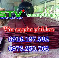 2 Chuyên cung cấp ván coppha xây dựng phủ phim và phủ keo tại Bình Thuận