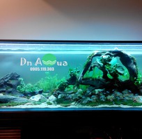 6 Làm hồ cá thủy sinh giá rẻ chuyên nghiệp tại đà nẵng