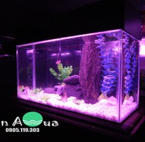 8 Làm hồ cá thủy sinh giá rẻ chuyên nghiệp tại đà nẵng