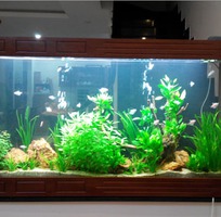 9 Làm hồ cá thủy sinh giá rẻ chuyên nghiệp tại đà nẵng