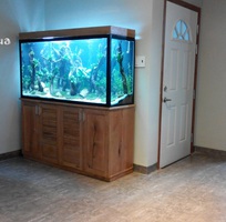 10 Làm hồ cá thủy sinh giá rẻ chuyên nghiệp tại đà nẵng