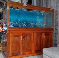 11 Làm hồ cá thủy sinh giá rẻ chuyên nghiệp tại đà nẵng