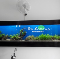 12 Làm hồ cá thủy sinh giá rẻ chuyên nghiệp tại đà nẵng