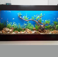 16 Làm hồ cá thủy sinh giá rẻ chuyên nghiệp tại đà nẵng