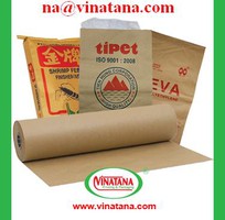 Bán bao kraft giấy đựng than giá rẻ