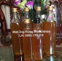 Mật Ong Rừng Phú Yên