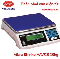 Cân điện tử HAW Nhật Bản, cân điện tử Shinko 30kg, cân điện tử nhập khẩu