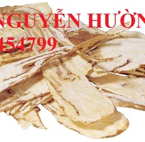 2 Chuyên cung cấp cây giống Đương quy