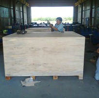 2 Đông Long: Chuyên Đóng đóng  thùng gỗ - kiện gỗ, hút chân không, hộp giấy bảo vệ hàng hóa