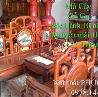 4 Bộ salon gỗ hương tay 10