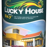 10 Sơn nhà, trần thạch cao, sơn vân đá nghệ thuật... LuckyHouse.