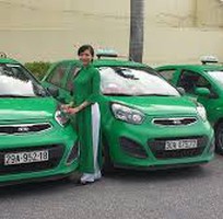 Mai Linh tuyển lái xe taxi Hà Nội số lượng lớn, Mai Linh tuyển lái xe bằng B2