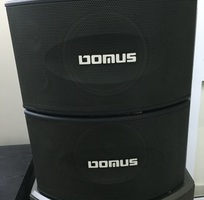 4 Loa Domus K310