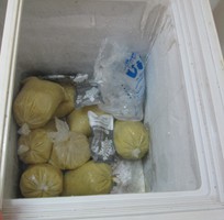 2 Thanh lý tủ đông Funiki 300 lít