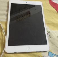 Ipad mini 2 16GB không 3G 4,500,000VND