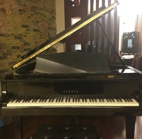 Bán đàn piano