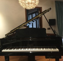 5 Bán đàn piano