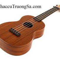 11 Mua Cajon Ukulele ở đâu Gò Vấp, Tân Bình, Phú Nhuận, Bình Thạch, TP. HCM