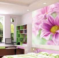 7 Giấy dán tường cao cấp tại Hải Phòng