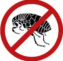 1 Diệt muỗi, Diệt côn trùng, thuốc diệt côn trùng 365 tại hà Nội