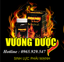 1 Vương dược- thuốc đông y đặc trị vô sinh, hiếm muộn, yếu sinh lý