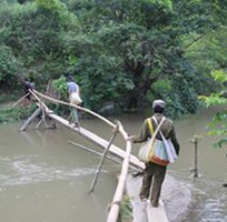 Mật ong rừng nguyên chất