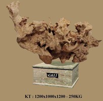 2 Bán gỗ lũa tự nhiên, chưa qua điêu khắc, nhiều hình thù đẹp, gỗ lũa to
