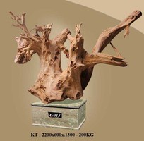 4 Bán gỗ lũa tự nhiên, chưa qua điêu khắc, nhiều hình thù đẹp, gỗ lũa to
