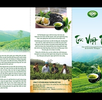 Công ty CP Trà Việt Thái - Chuyên cung cấp sản phẩm chè Thái Nguyên ngon, sạch trên toàn quốc