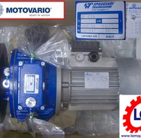 Motor Hộp Số Giảm Tốc Motovario Viet Nam Distributor