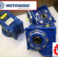 2 Motor Hộp Số Giảm Tốc Motovario Viet Nam Distributor