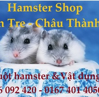 Hamster giá rẻ