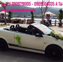 2 Cho thuê xe hoa sport 2 cửa mui trần giá rẽ nhất sài gòn