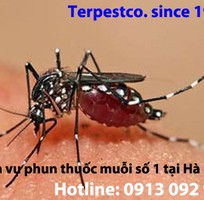 Dịch vụ phun thuốc diệt muỗi nổi tiếng, lâu năm, hàng đầu tại huyện Phú Xuyên, Hà Nội