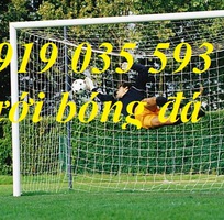 8 Lưới bóng đá sợi dù sợi cước nhựa,lưới khung thành sân cỏ nhân tạo