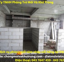 Dịch vụ phòng mối xâm nhập nổi tiếng, lâu năm, hàng đầu, số 1 tại huyện Thanh Trì, Hà Nội