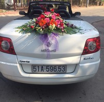 Các mẫu xe hoa cho mùa cưới 2016, xe đưa đón 2 họ