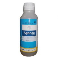 Diệt mối tại quảng ngãi