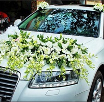 Trang trí xe cưới, lãng hoa cưới, hoa để bàn