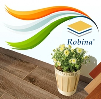 19 Cung cấp và thi công sàn gỗ Robina - xuất xứ Malaysia