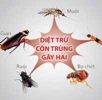 Phun thuốc diệt côn trùng diệt muỗi kiến gián mối chuột