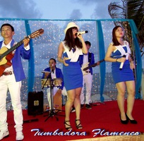 11 Ban nhạc Flamenco TUMBADORA BAND vui nhộn cho Tour du lịch của quý vị