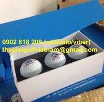 11 In ấn logo lên bóng golf, in logo lên banh golf làm quà tặng