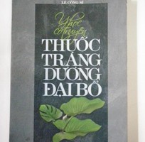 4 Dịch tiếng trung, dịch tiếng hoa tại dĩ an bình dương