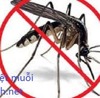 Phun diệt muỗi hiệu quả