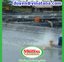 10 Màng chống thấm HDPE,bạt HDPE lót hồ tôm giá rẻ nhất, sản xuất phân phối toàn quốc uy tín chất lượng