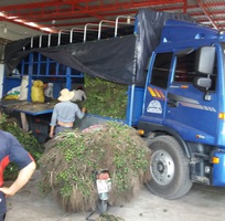 1 Vận chuyển hàng hóa nhanh rẻ