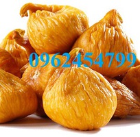 3 Cung cấp cây giống sung mỹ, sung ngọt, kỹ thuật trồng sung mỹ cho năng suất cao, giao cây toàn quốc