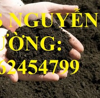 3 Cung cấp phân hữu cơ vi sinh và quy trình ủ từ phân chuồng, xác bã thực vật, giao hàng toàn quốc